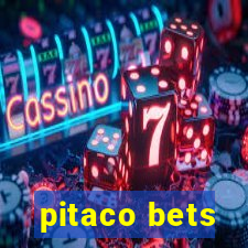 pitaco bets